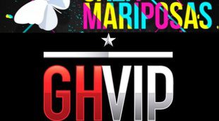 'Cazamariposas' prepara una sección para elegir candidatos para 'Gran Hermano VIP 4'