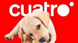 Cuatro abre un casting para buscar perros y dueños con una relación especial