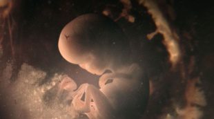 #0 estrena '9 meses, el origen de lo extraordinario' el 4 de febrero