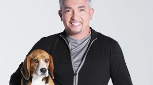 César Millán ('El encantador de perros'), investigado por posible crueldad animal en su programa