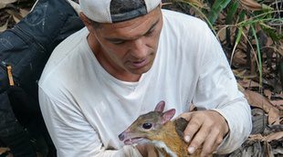 Frank Cuesta luchará contra el tráfico de animales en la nueva temporada de 'Wild Frank'