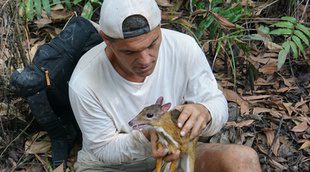 'Wild Frank en busca del dragón' (3,3%) sube en su segunda semana en Discovery MAX