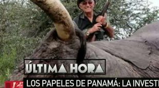 laSexta desvela que el organizador de las cacerías del Rey Juan Carlos en Botsuana aparece en los "Papeles de Panamá"