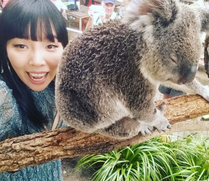 ?Adorad a Dami Im! ?Koalas!
