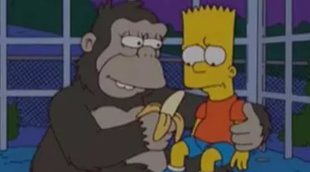 'Los Simpson', ¿también predijeron la tragedia en el zoo de Cincinnati?
