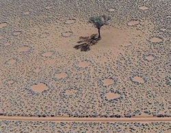 'Curiosidades de la Tierra' marca un buen 2,1% en Discovery MAX