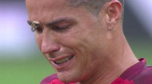 La polilla de Cristiano Ronaldo se convierte en la triunfadora de las redes en la final de la Eurocopa