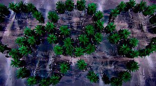 Los anillos de "marihuana" de la ceremonia inaugural de los Juegos Olímpicos