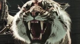 'The Walking Dead' contará con un espectacular tigre en su séptima temporada