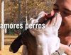 'Amores perros', el programa sobre perros y sus dueños, se estrena el martes 15 de noviembre