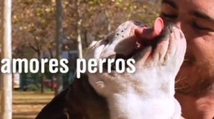 'Amores perros', el programa sobre perros y sus dueños, se estrena el martes 15 de noviembre