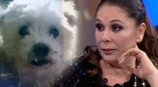 'Espejo Público' desvela el misterio de quién regaló la perra a Isabel Pantoja