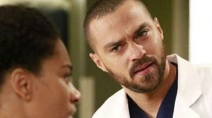 'Anatomía de Grey' 13x12 Recap: "None of Your Business"