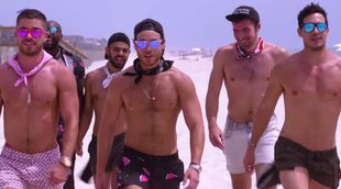 Así será 'Fire Island', el nuevo reality gay de LogoTV al estilo 'Gandía Shore'