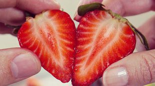 Canal Cocina y Canal Decasa comenzarán a emitir en 4K UHD a partir de junio