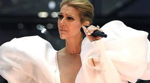 Celine Dion rinde homenaje a "Titanic" y vuelve a interpretar "My Heart Will Go On" en los BBMAs 2017