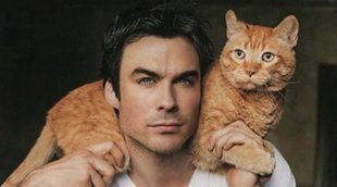 7 famosos televisivos que se declaran amantes de los gatos