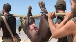 'La isla': Santi consigue cazar a un cerdo salvaje e indigna a las redes sociales