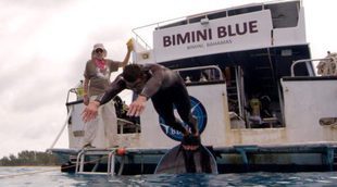 Michael Phelps, protagonista de la 'Shark Week' de Discovery Channel
