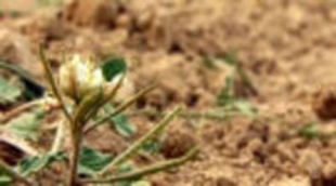 'Noticias Cuatro' dedica este viernes 9 de mayo a la "Guerra del Agua"