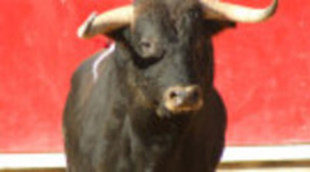 La corrida de la Beneficencia arrasa en la tarde de Telemadrid