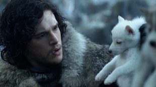 'Juego de Tronos': La serie "provoca" el aumento de adopción de huskies, pero también de abandonos