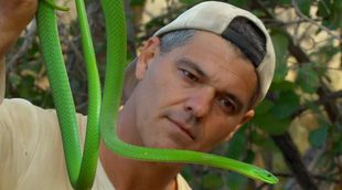 'Wild Frank: El beso de la mamba negra': Frank Cuesta estrena temporada en África el domingo 15 de octubre