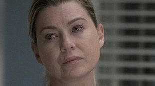 Las claves del futuro de los protagonistas de 'Anatomía de Grey' que descubrimos en el 14x04