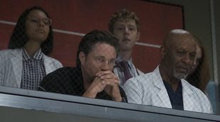 'Anatomía de Grey': FOX Life estrena la decimocuarta temporada en prime time y en versión dual