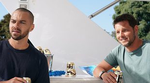 Nuevos caminos comienzan para los protagonistas de 'Anatomía de Grey' en el 14x06