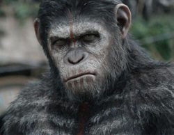 'Salvados' vuelve con un espectacular 13,4% y "El amanecer del planeta de los simios" (20,2%) es lo más visto