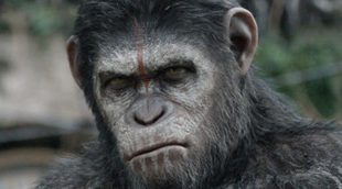 'Salvados' vuelve con un espectacular 13,4% y "El amanecer del planeta de los simios" (20,2%) es lo más visto