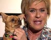 Chelo Gª Cortés se derrumba al pensar que le quitan a su perrita: "La ley me ampara, no me la van a quitar"