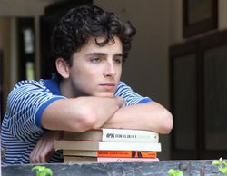 La trayectoria profesional de Timothée Chalamet, la gran revelación de "Call Me By Your Name"