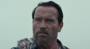Arnold Schwarzenegger, estable tras someterse a una operación de corazón