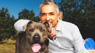 Los perros de César Millán ('El encantador de perros') evitan un robo en su casa