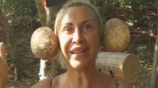 'Supervivientes: Tierra de nadie' baja pero marca un fantástico 21,7% y 'Cuerpo de élite' anota un gran 16,7%