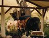 HBO defiende a 'Westworld' de las acusaciones de PETA por maltrato de elefantes