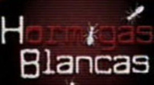 'Hormigas blancas' regresa con nuevas entregas al late night del martes