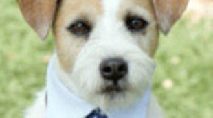 Los perros de CBS arrancan con gran éxito pero no pueden con una reposición de 'CSI'