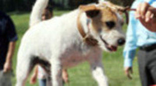 Los perros de CBS caen más de un millón con el cambio de día