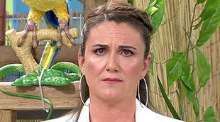 Carlota Corredera, a favor de Màxim Huerta: "¿Qué somos quienes trabajamos en televisión, apestados?"