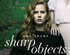 'Heridas abiertas', protagonizada por Amy Adams, se estrenará el lunes 9 de julio en HBO España