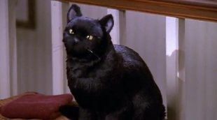 'Las escalofriantes aventuras de Sabrina': El gato Salem estuvo a punto de ser sustituido por un perro