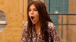 'GH VIP 6' se dispara a un increíble 28,4% frente al regreso de 'Cuéntame cómo pasó', que marca un 15,4%