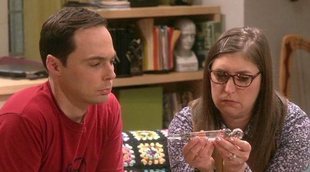 'The Big Bang Theory': Sheldon y Amy reciben un regalo de lo más extraño en el 12x02