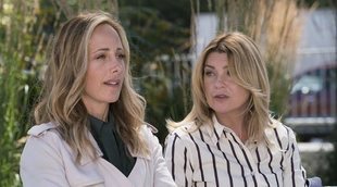 'Anatomía de Grey': Meredith consigue encontrar a Teddy en el 15x05