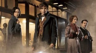 "Animales fantásticos y dónde encontrarlos" lidera en Antena 3 (20,1%) frente a 'Mi casa es la tuya' (12,8%)