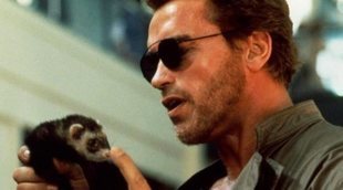 "Poli de guardería" se cuela como lo más visto en un día de Navidad en el que destaca Trece