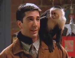 Ross Geller es el auténtico protagonista de 'Friends', según un estudio que analiza todos los guiones